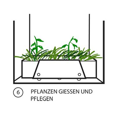 FLORA Bauanleitung Bild 6: Pflanzen gießen und Pflegen